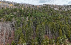 Boul. Perron E., Matapédia, Quebec G0J1V0