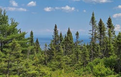 01 Route de la Grande-Alliance, Baie-Sainte-Catherine, QC G0T1X0, CA, Baie-Sainte-Catherine, Quebec G0T1X0