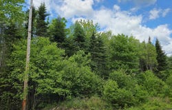 Chesley Road Lot 23-3, Barss Corner, Nova Scotia B0R 1E0