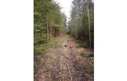 Old North Range Road Lots, Gilberts Cove, Nova Scotia B0W 3T0