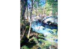 1 Rue de la Nature, Lac-Frontière, Quebec G9R1T0
