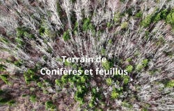 01 Ch. des Peupliers, Petite-Rivière-Saint-François, QC G0A2L0, CA, Petite-Rivière-Saint-François, Quebec G0A2L0
