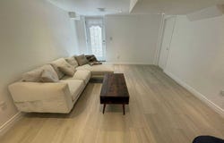 Basemen - 55 Red Cardinal Trail, Richmond Hill, Ontario L4E3Y4