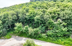 Rue Vendette, Val-David, QC J0T2N0, CA, Val-David, Quebec J0T2N0