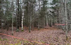 240 Ch. de l'Acajou, La Conception, Quebec J0T1M0