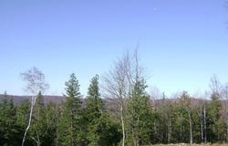 Av. du Lac-à-Lunettes, Chertsey, QC J0K3K0, CA, Chertsey, Quebec J0K3K0