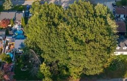 54e Avenue, Pointe-Calumet, Quebec J0N1G0