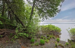 421 Ch. des Sources, Val-d'Or, Quebec J9P7A5