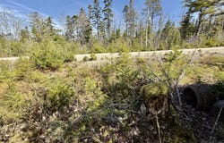 Dynasty Court Lot 32, Sherwood, Nova Scotia B0J 1J0