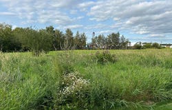 45 Rue des Bernaches, Métabetchouan/Lac-à-la-Croix, QC G0W1M0, CA, Métabetchouan/Lac-à-la-Croix, Quebec G0W1M0