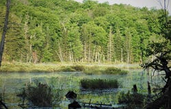 Rue du Lac-Racette, Sainte-Marguerite-du-Lac-Masson, QC J0T1L0, CA, Sainte-Marguerite-du-Lac-Masson, Quebec J0T1L0