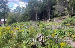 158 Rue Labrecque, Saint-Malachie, Quebec G0R3N0