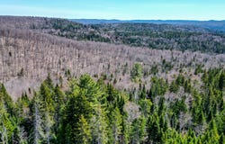 Rue du Génévrier, Sainte-Marguerite-du-Lac-Masson, QC J0T2N0, CA, Sainte-Marguerite-du-Lac-Masson, Quebec J0T2N0