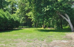 29 Niagara Street S, Collingwood, Ontario L9W3X1