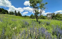 Rue de Sweetsburg, Cowansville, Quebec J2K 3W1