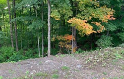 Ch. des Lys, Wentworth, Quebec J8H0C8