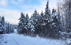 Rue Principale E., Sainte-Euphémie-sur-Rivière-du-Sud, Quebec G0R2Z0