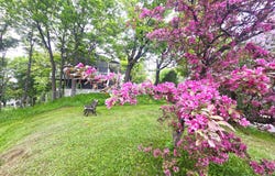 80 Av. de lHôtel-de-Ville, Mont-Joli, QC G5H1X1, CA, Mont-Joli, Quebec G5H1X1