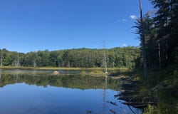 Ch. du Lac-Gustave, Wentworth-Nord, QC J0T1Y0, CA, Wentworth-Nord, Quebec J0T1Y0