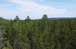 Ch. du Friche , Clermont, QC G4A1E9, CA, Clermont, Quebec G4A1E9