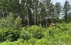 14 Rg St-Jacques, Sainte-Christine-d'Auvergne, Quebec G0A1A0