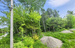 Rue du Faisan, Magog, QC J1X4T9, CA, Magog, Quebec J1X4T9