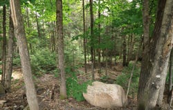 Rue du Guetteur, Sainte-Marguerite-du-Lac-Masson, QC J0T1L0, CA, Sainte-Marguerite-du-Lac-Masson, Quebec J0T1L0