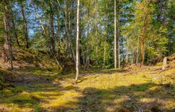 1 Main Rd, Lasqueti Island, British Columbia V0R 2J0