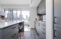 315 - 9 Tecumseth Street, Toronto, Ontario M5V0S5