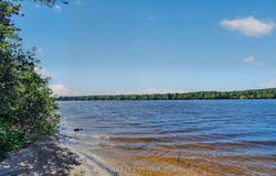 2221A Gratton Trail, Whitewater Region, Ontario K0J 2L0
