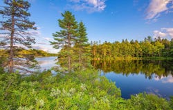 Virginia Road Lot 12, Springhill, Nova Scotia B0S 1A0