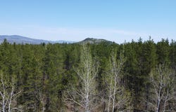 Ch. du Friche , Clermont, QC G4A1E9, CA, Clermont, Quebec G4A1E9