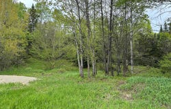 1168 Ch. Picanoc, Otter Lake, Quebec J0X2P0