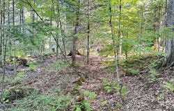 Ch. Glen, Wentworth, QC J8H0C2, CA, Wentworth, Quebec J8H0C2