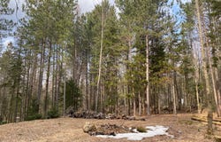 Route 329, Gore, Ontario J0V1K0