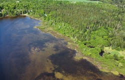 Route 117, Nominingue, Quebec J0T1W0