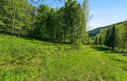 Rue Dunn, Bromont, Quebec J2L 3M2