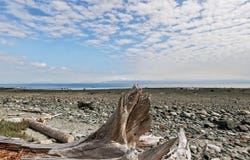1494 Wilkinson Rd, Comox, British Columbia V9M 4B3