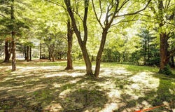 Rue Camus, Terrebonne, QC J6Y1S8, CA, Terrebonne, Quebec J6Y1S8