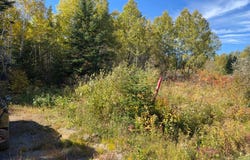 2e Rang O., Saint-Cyprien, Quebec G0R1B0