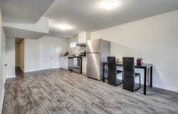 Basemen - 19 Grovepark Street, Richmond Hill, Ontario L4E3L4