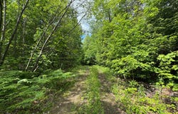 Rue des Irlandais, Gore, Quebec J0V1K0