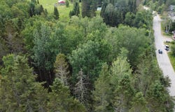 Mtée Foisy, Lac-des-Écorces, Quebec J0W1H0