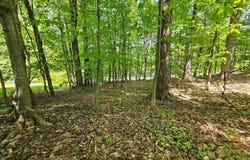 Rue du Mont-Rainer, Sainte-Agathe-des-Monts, QC J8C2Z7, CA, Sainte-Agathe-des-Monts, Quebec J8C2Z7