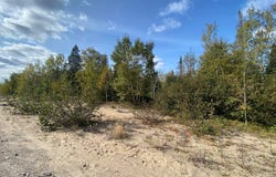 427 Rue Montigny, Sept-Îles, QC G0G1L0, CA, Sept-Îles, Quebec G0G1L0