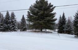 Ch. du Camping, Mont-Laurier, Quebec J9L3G6