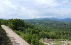 Ch. du Friche , Clermont, QC G4A1E9, CA, Clermont, Quebec G4A1E9