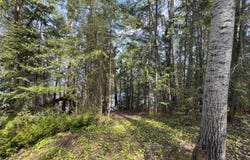 161 Rue des Cèdres, Rivière-Héva, QC J0Y2H0, CA, Rivière-Héva, Quebec J0Y2H0