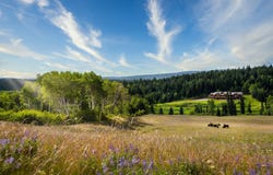 FOUR HEARTS RANCH, 100 Mile House, British Columbia V0K 2E1