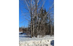7740 Ch. River, Pontiac, Quebec J0X2G0